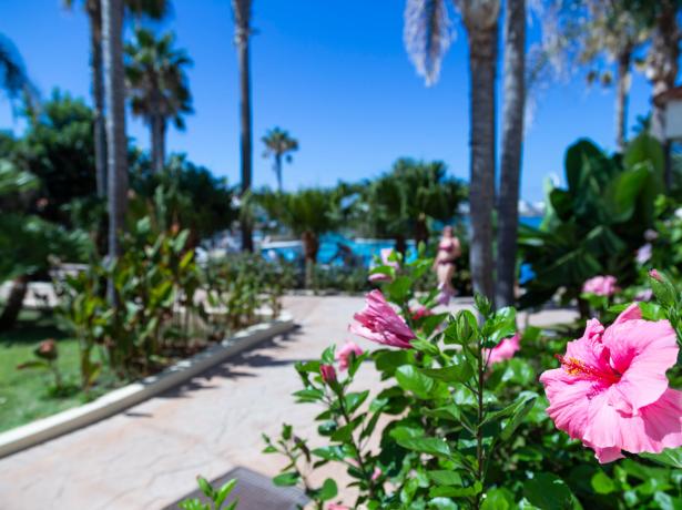 villaggioilgabbiano it villaggio-4-stelle-sul-mare-capo-vaticano-che-accetta-il-bonus-vacanze 011